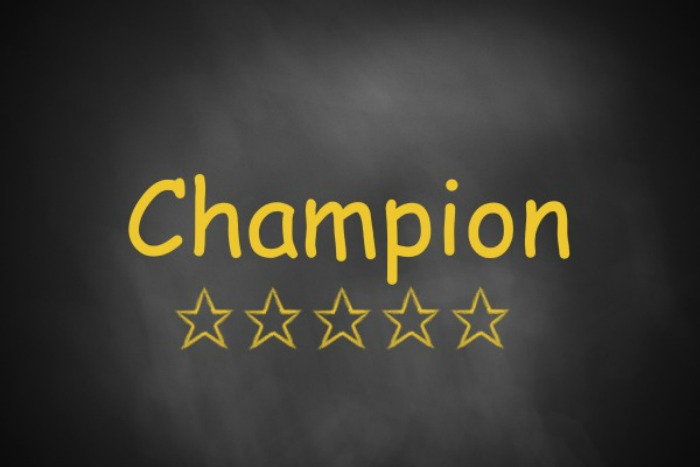 organize your life class champions