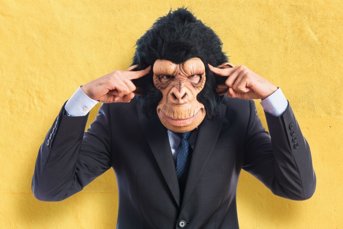 remove the monkey – organize your life