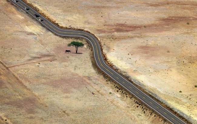 a winding road - get inspired to make a difference