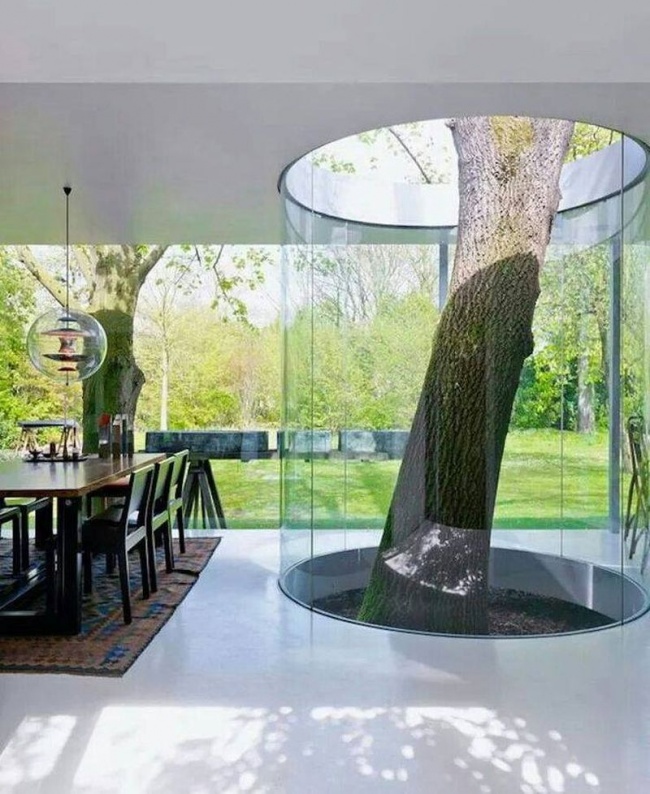 a house built around a tree inspires Earth Day
