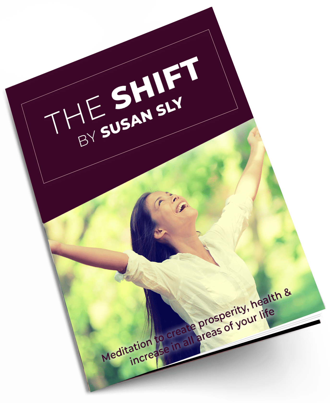 The Shift Mediation