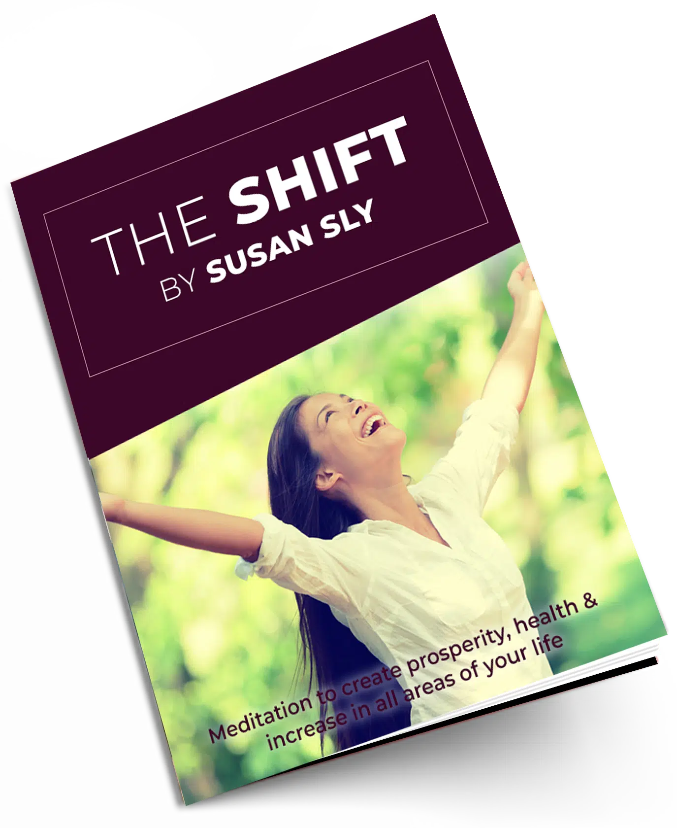 The Shift Mediation